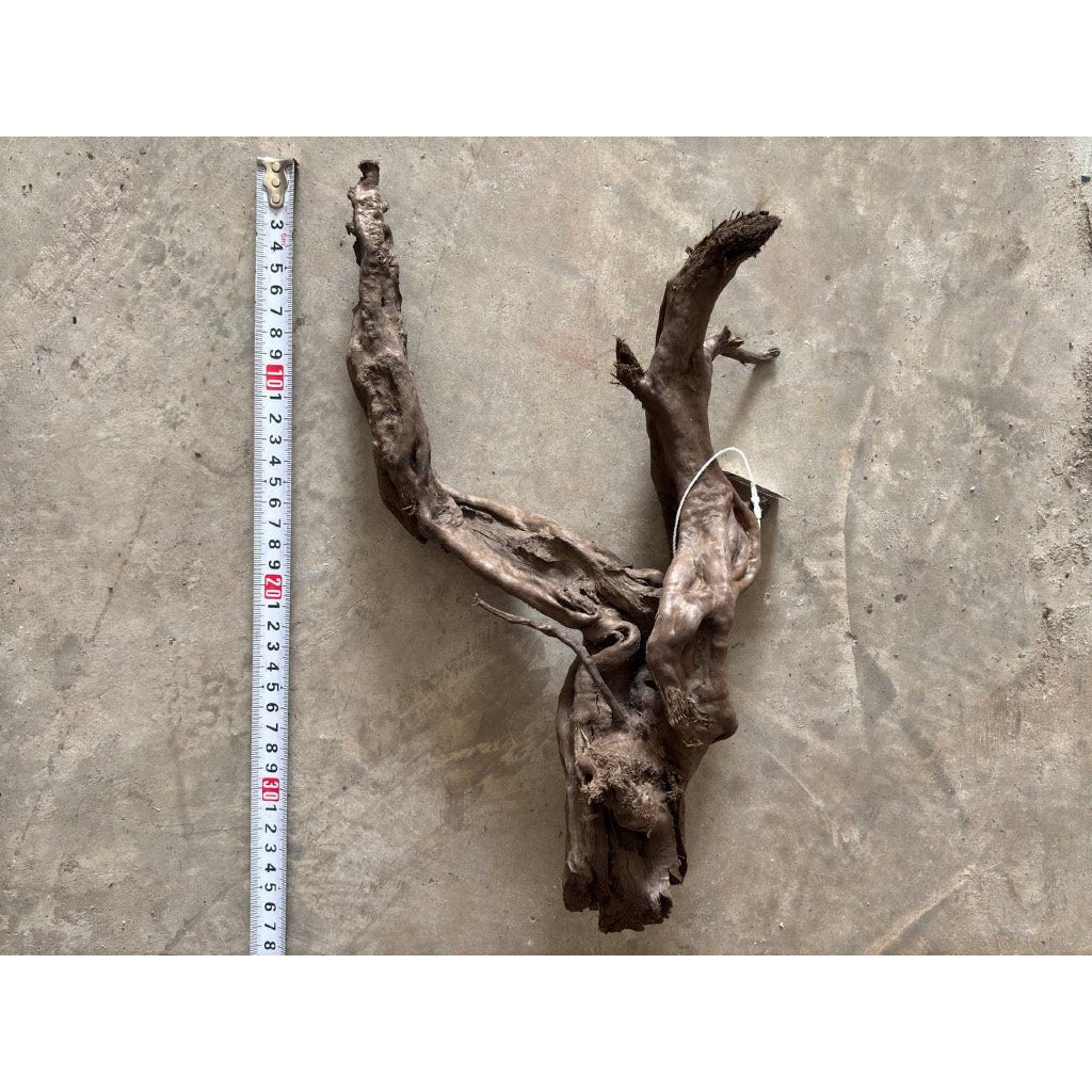 Aquatic Farmer Black Spider Driftwood