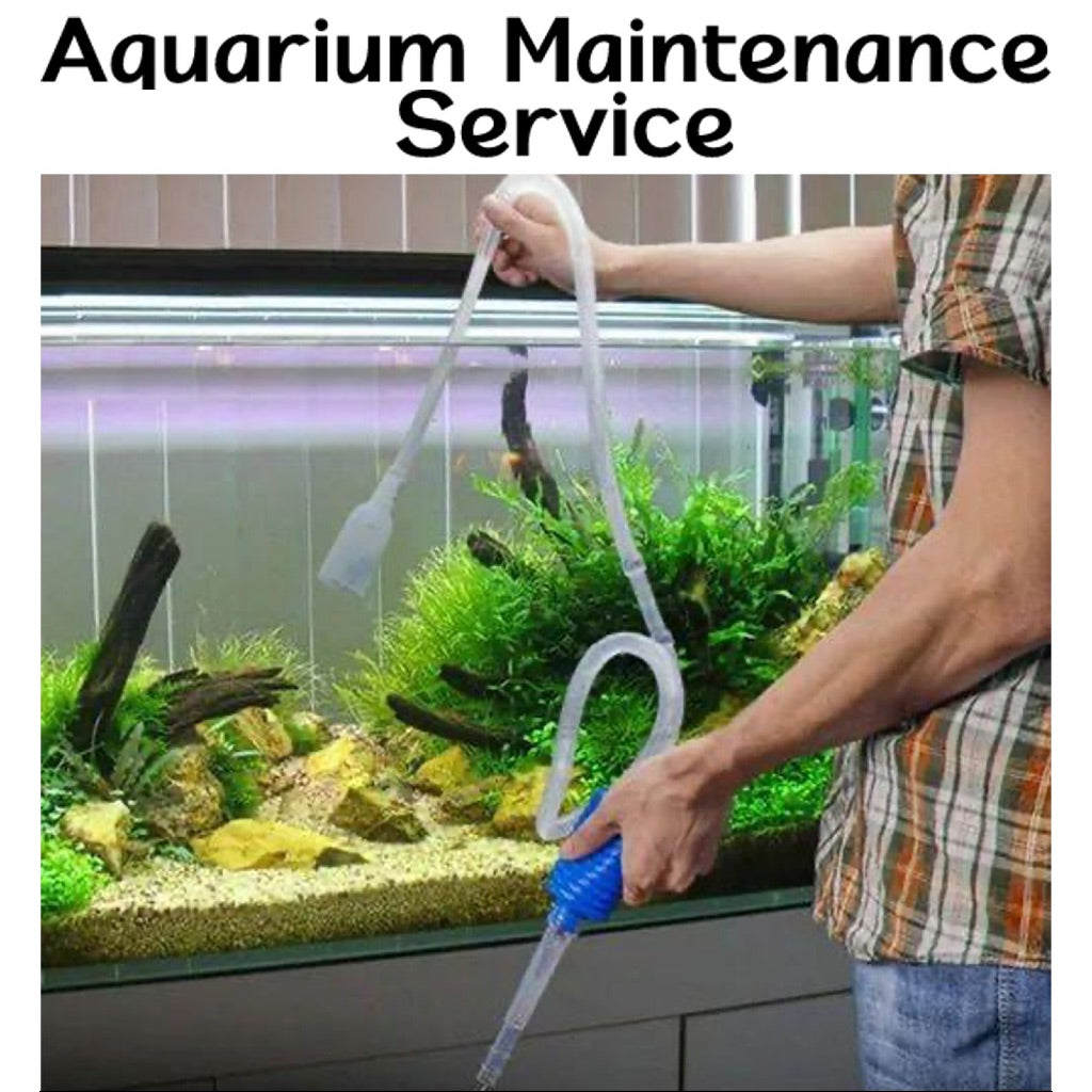 Aquarium Maintenance Service