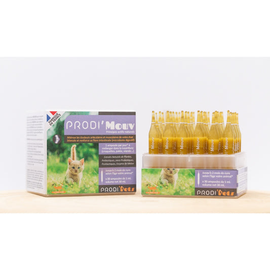 Prodi'Mouv Cat 30 vials – Probiotics And Plant Extracts Against Joint And Muscle Pain