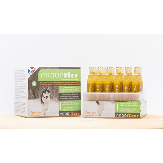 ProdiFlor Dog 30 vials - Probiotics And Plant Extracts For Intestinal Flora And Immunity